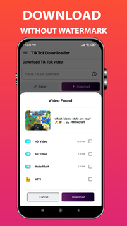 TikClip-TT Video Downloader PC