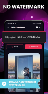Video Downloader No Watermark PC