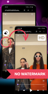 Video Downloader No Watermark PC
