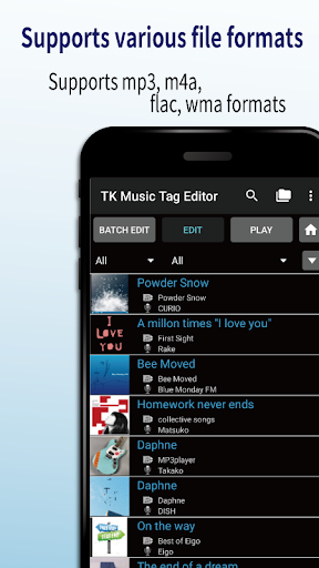 TK Music Tag Editor