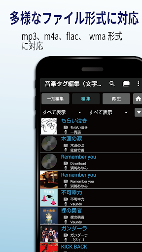 音楽タグ編集（文字化け対応）
