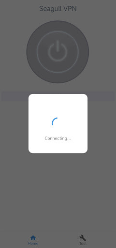 Seagull VPN-Easy and reliable!