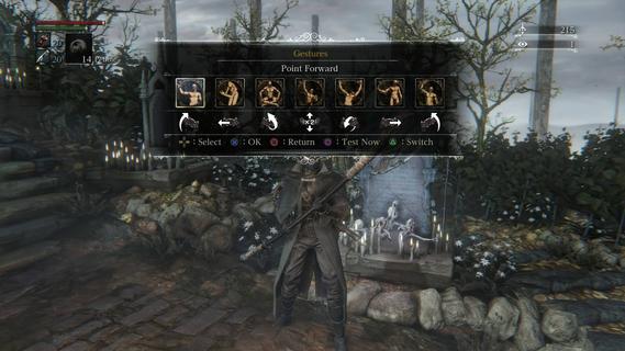 Bloodborne online PC