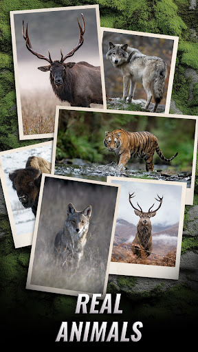 Trophy Hunter – Hunting Game