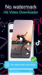 Download video no watermark PC