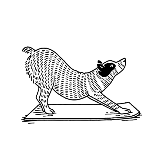 Find What Feels Good Yoga