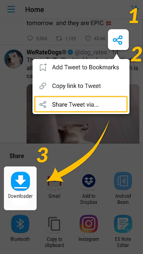 Video Downloader & GIF Saver