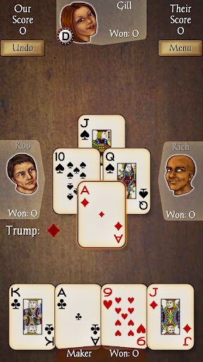 Euchre Pro PC