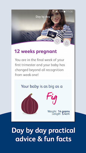 Bounty - Pregnancy & Baby App PC