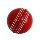 Cricket Simulator PC