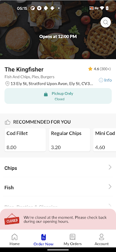 The Kingfisher PC版