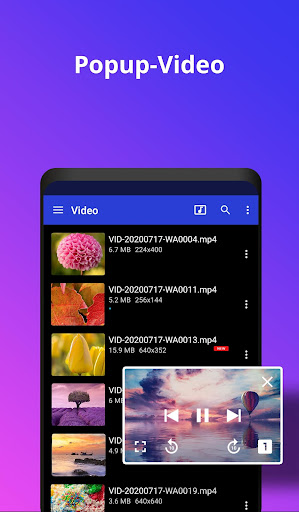 Video Player alle Formate PC