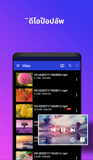 เครื่องเล่นวิดีโอ All Format PC