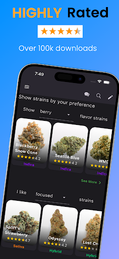 Strain Guide