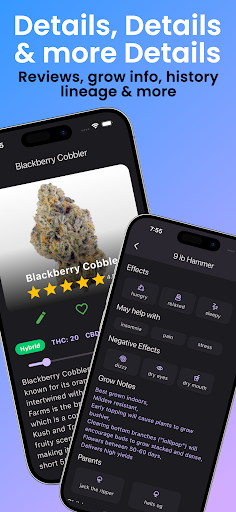 Strain Guide