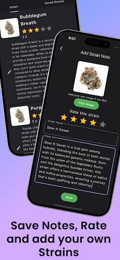 Strain Guide