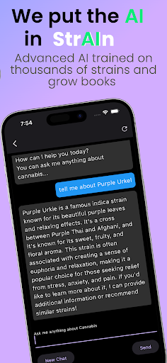 Strain Guide