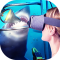 Collection of VR Videos PC