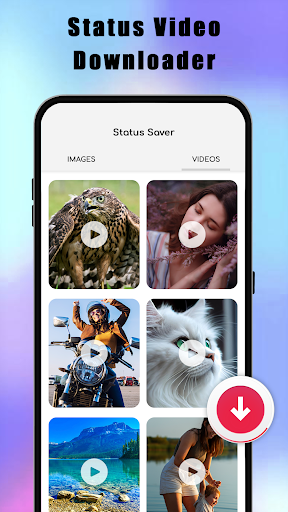 All Video Downloader App PC