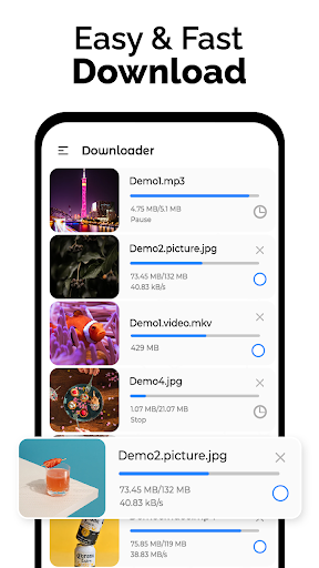 All Video Downloader PC