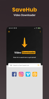 Video Downloader Hub Browser PC