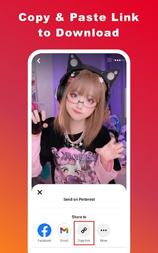 Video Downloader for Pinterest PC