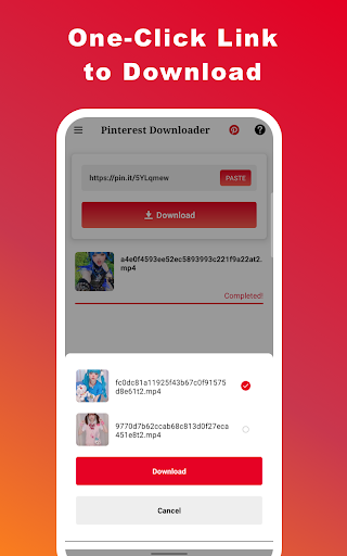 Video Downloader for Pinterest PC