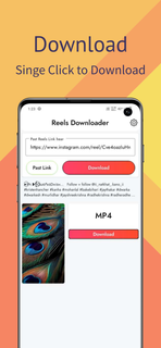 Fast Video Downloader PC