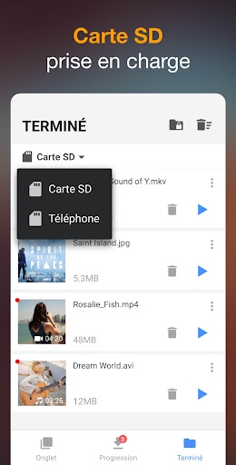 Téléchargeur de Vidéo