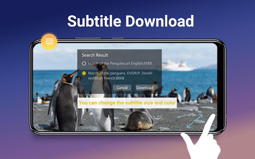 HD Video Player PC