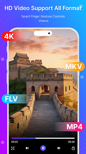 HD Video Player : All Format電腦版