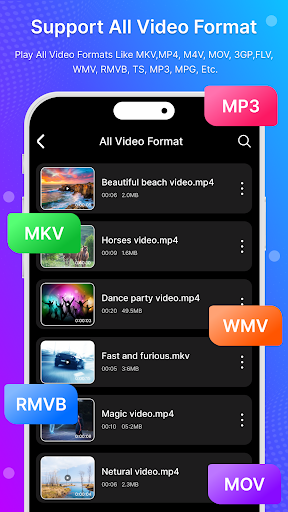 HD Video Player : All Format電腦版