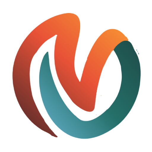 Vidya University Press