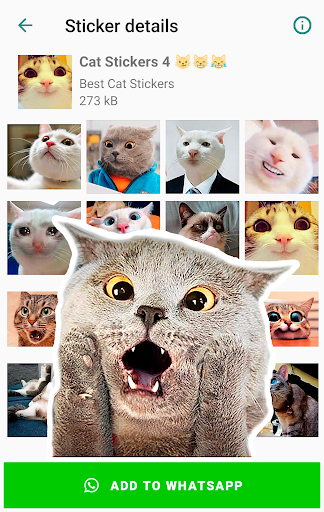 komputer Cat Stickers for WhatsApp