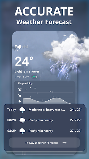 Meteo in diretta PC