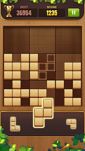 Block Puzzle: Wood Soduko Game