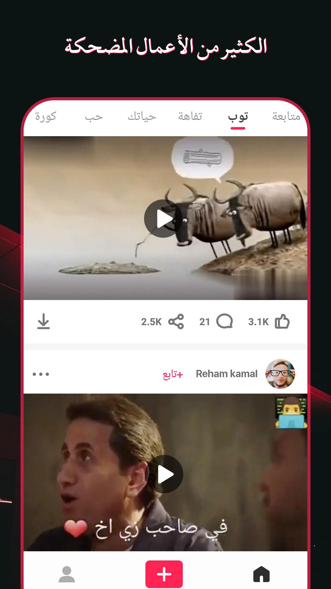 LOLita الحاسوب